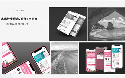 水光针小程序 / 分 类 / 电商类