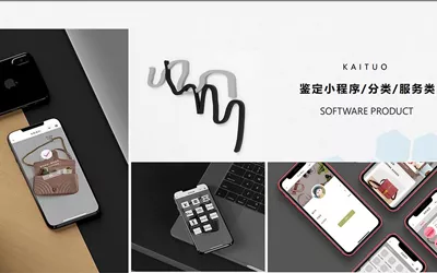 鉴定小程序/分类/服务类